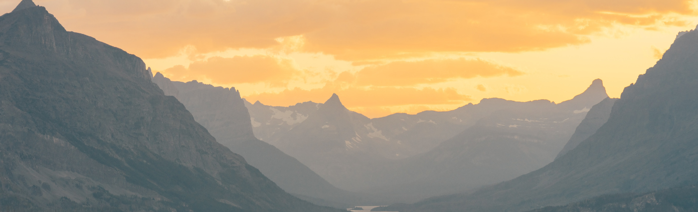 Non-Profits and Tax Exempt Organizations