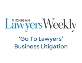 go to lawyers business litigation michigan